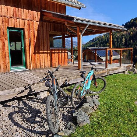 Panorama-Chalet Alpengloeckchen Stadl an der Mur エクステリア 写真